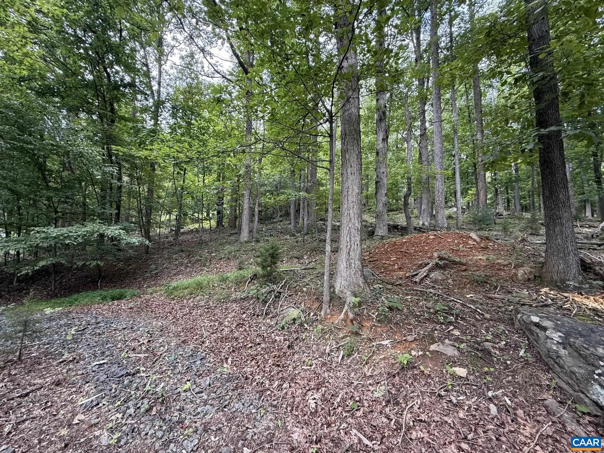 1283 Rodes Valley Dr, Nellysford