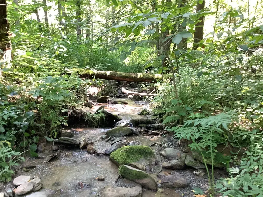 Lot 4 Larkspur Trail, Banner Elk