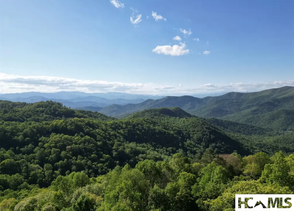 Bartram Ridge Dr, Scaly Mountain