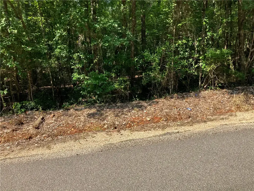 2031 Lee Rd 45, Opelika