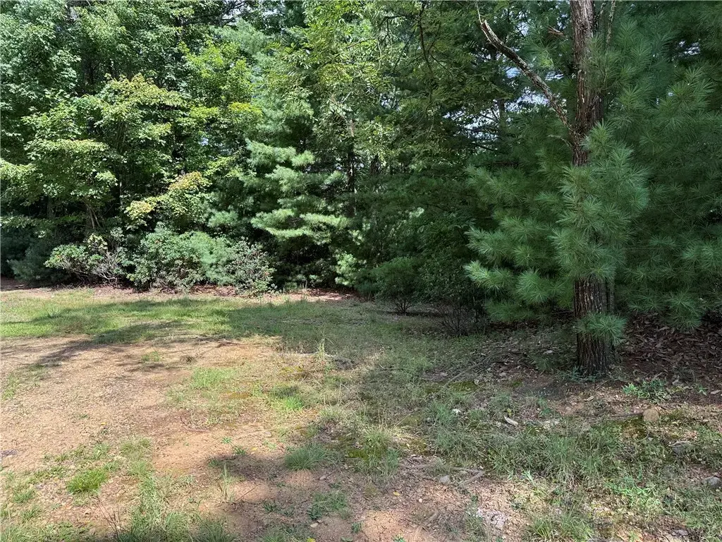 Lot 119 Rich Pine Drive, Purlear