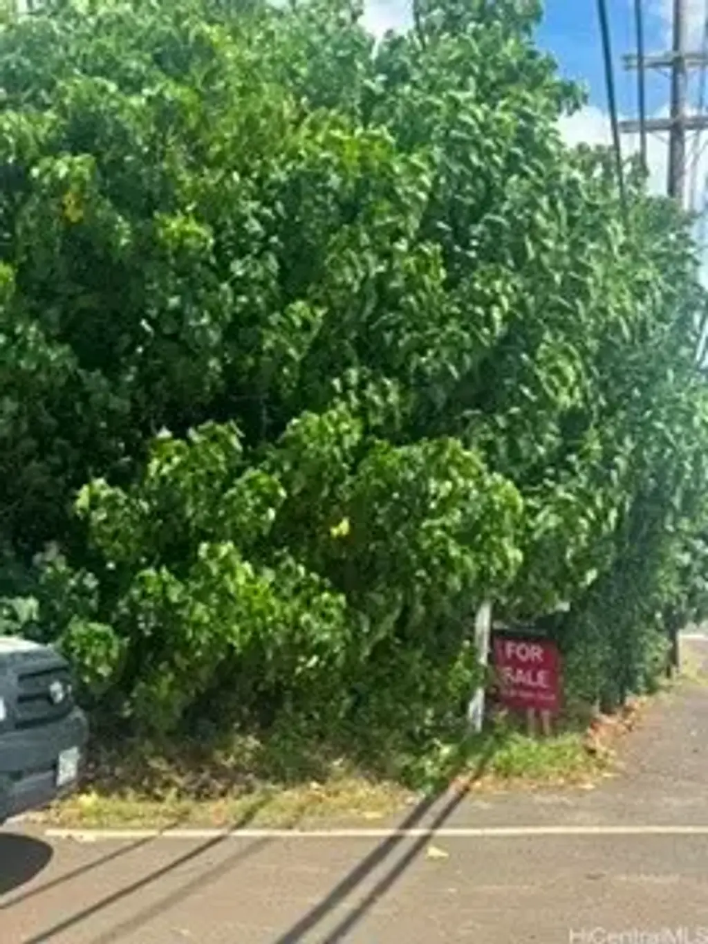 87-103 Halike Place, Waianae