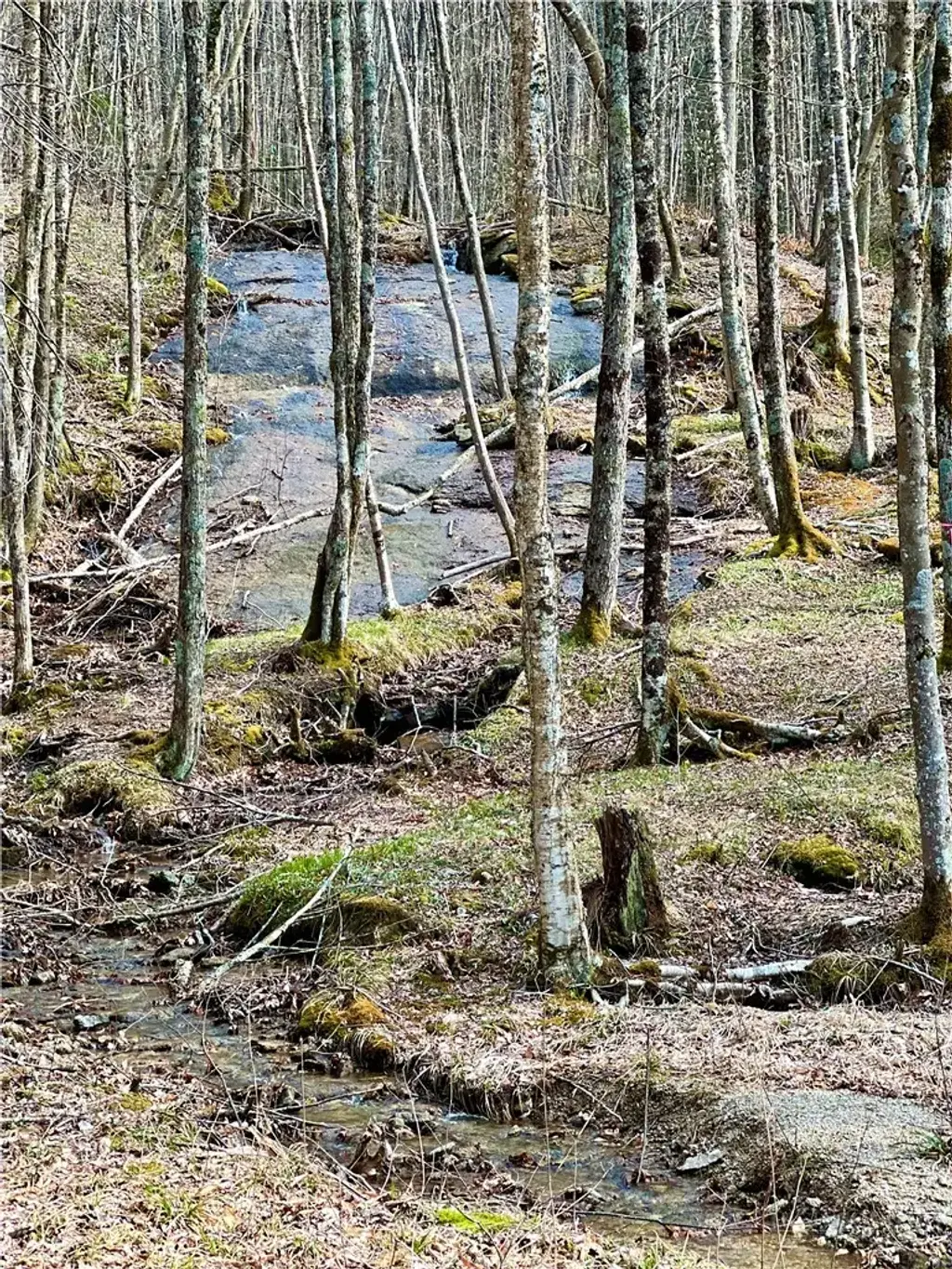 Es-61 Rippling Waters Trail, Banner Elk