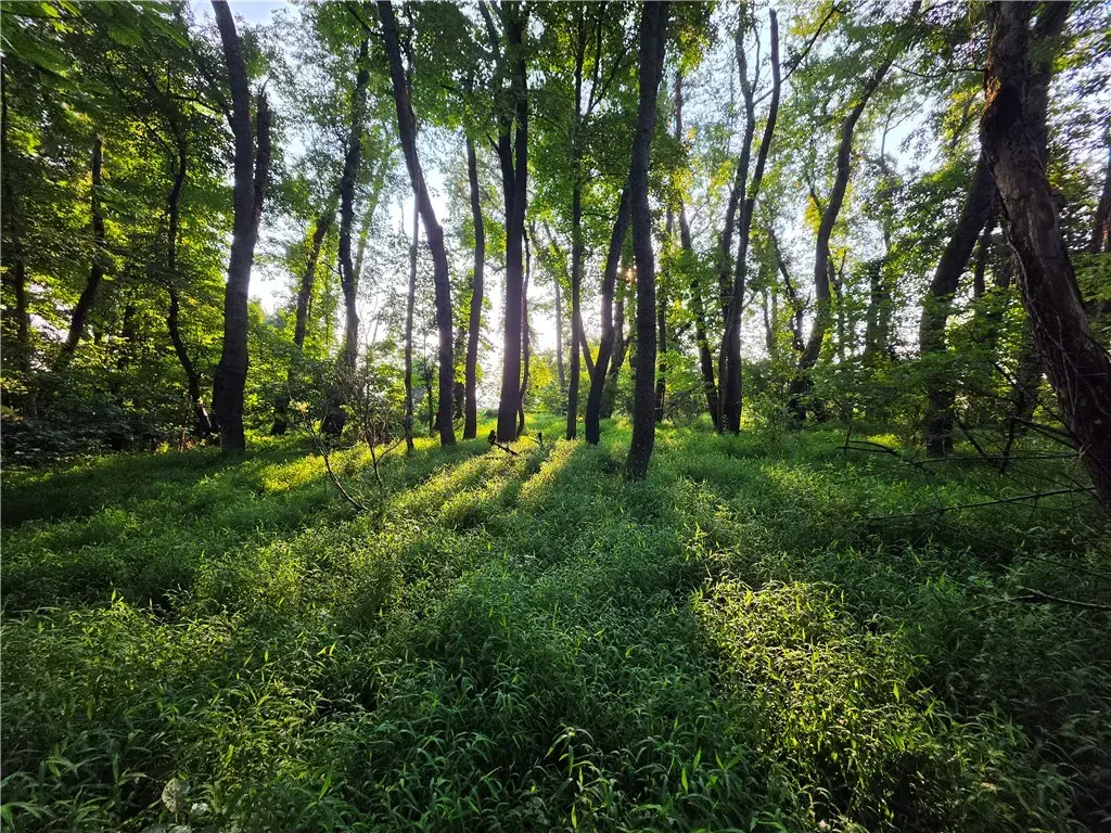 Darr Road , Rostraver