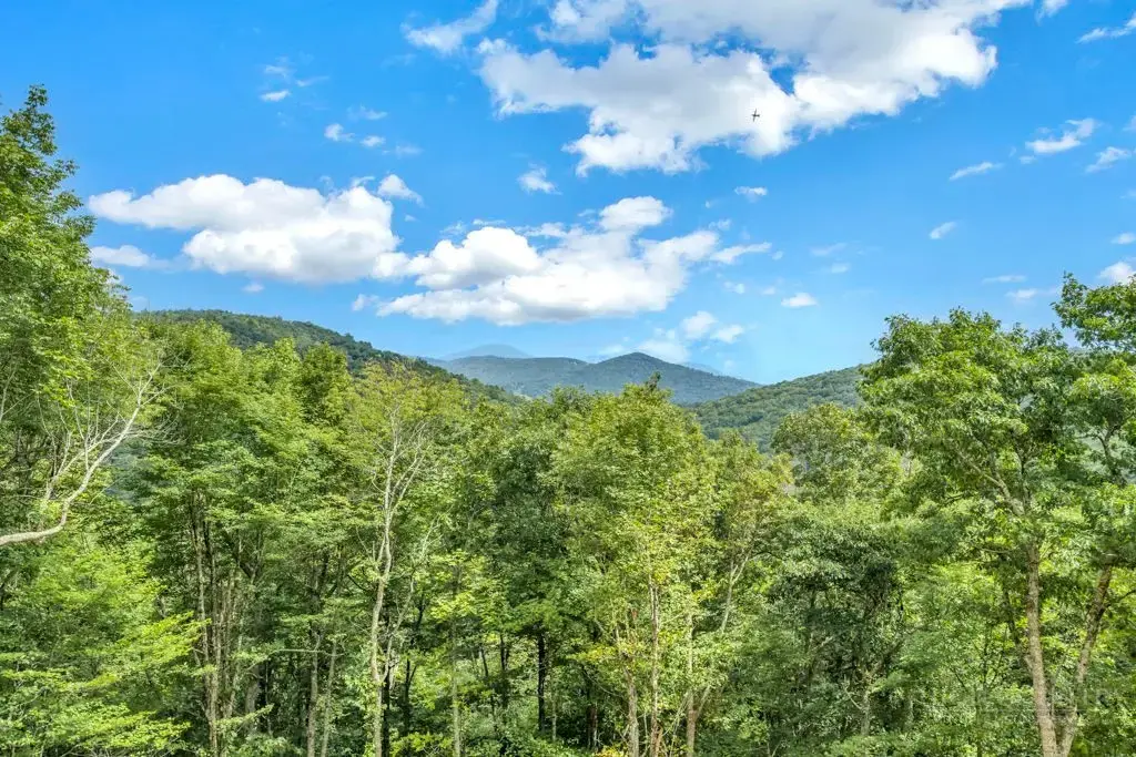 Tbd Saddle Road, Boone