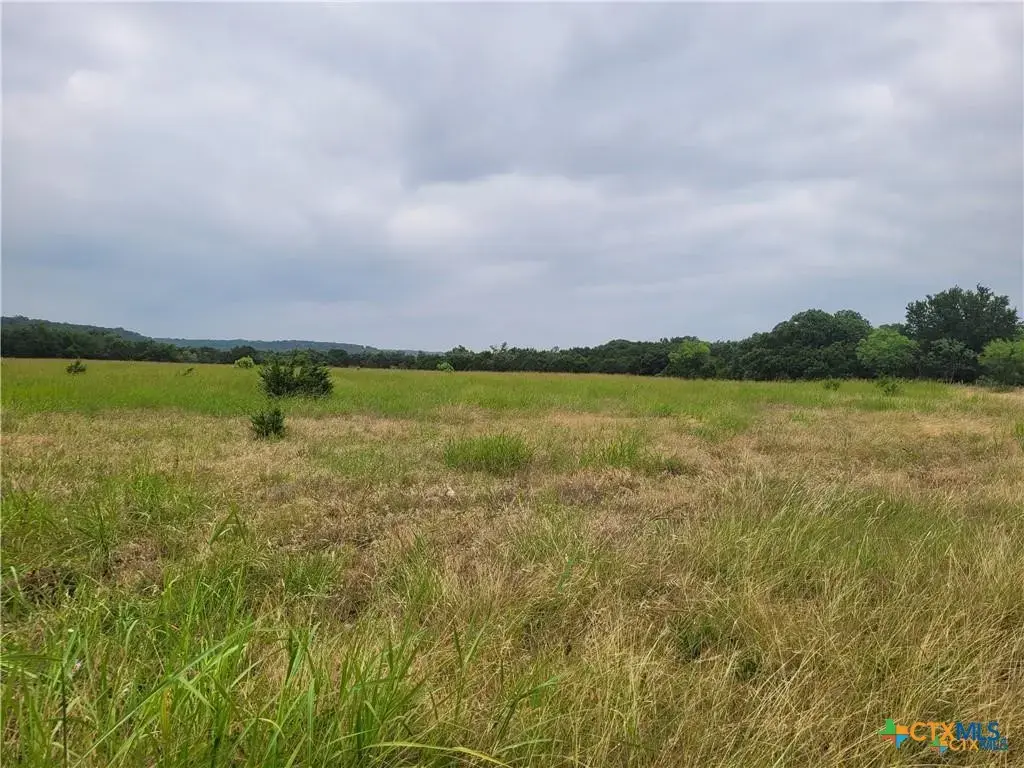 9680 E Highway 190, Kempner