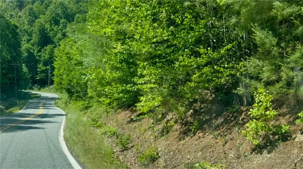 Tbd Wildcat Road, Deep Gap