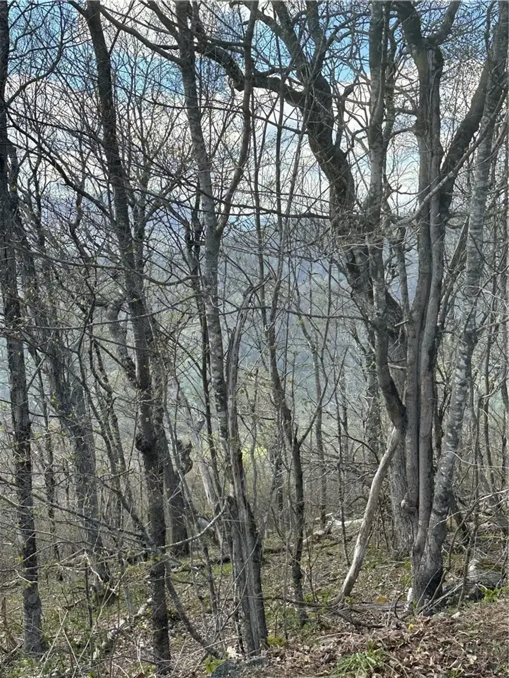 Lot 40 Silver Fox Drive, Blowing Rock