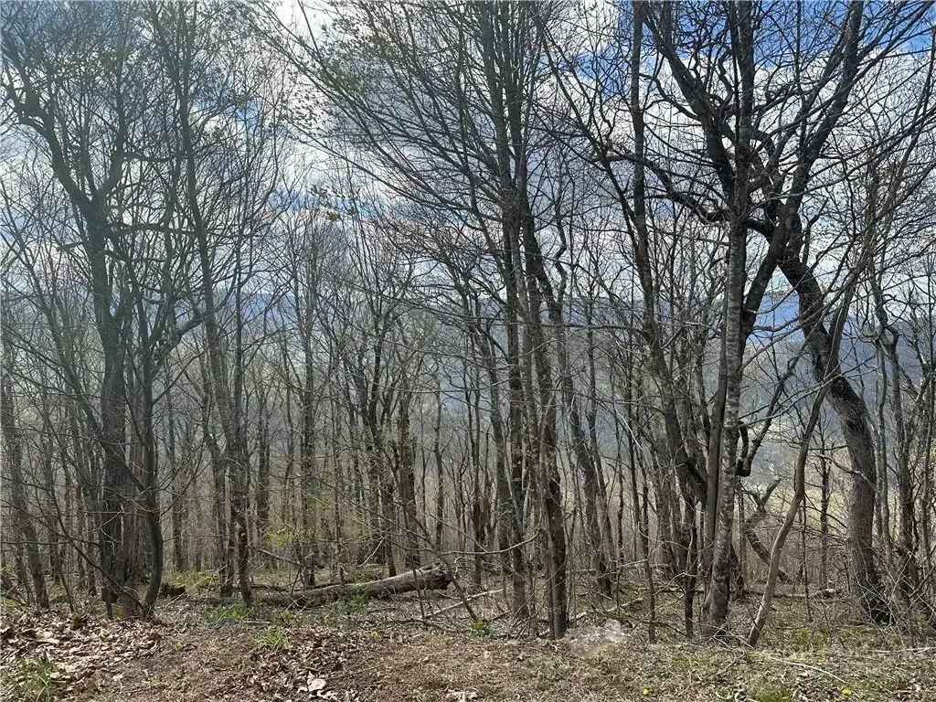 Lot 41 Silver Fox Drive, Blowing Rock