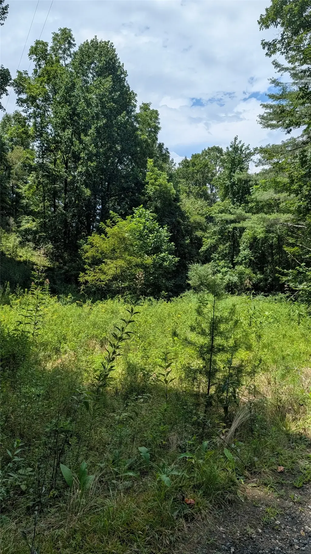 42 Unterga Trail, Sylva