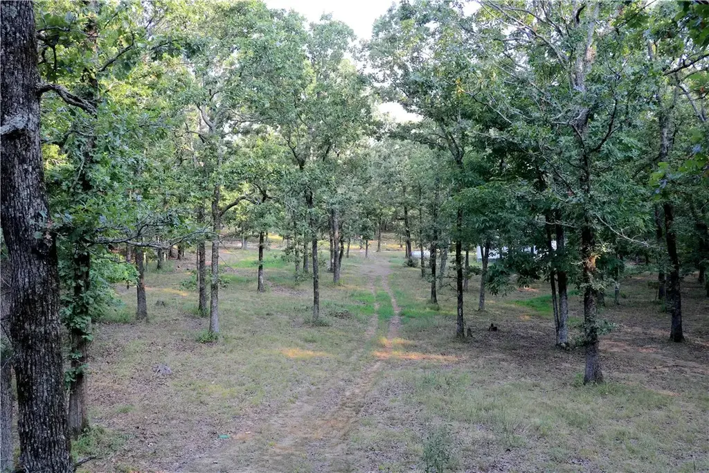 108 Madison 6486, Elkins