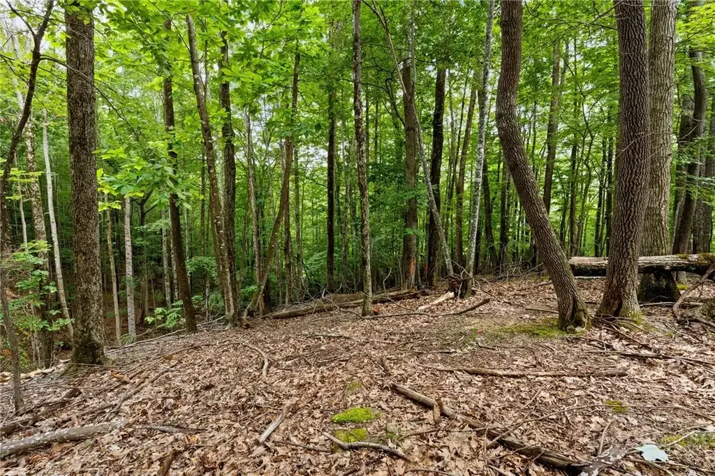 203 Sourwood Lane, Beech Mountain