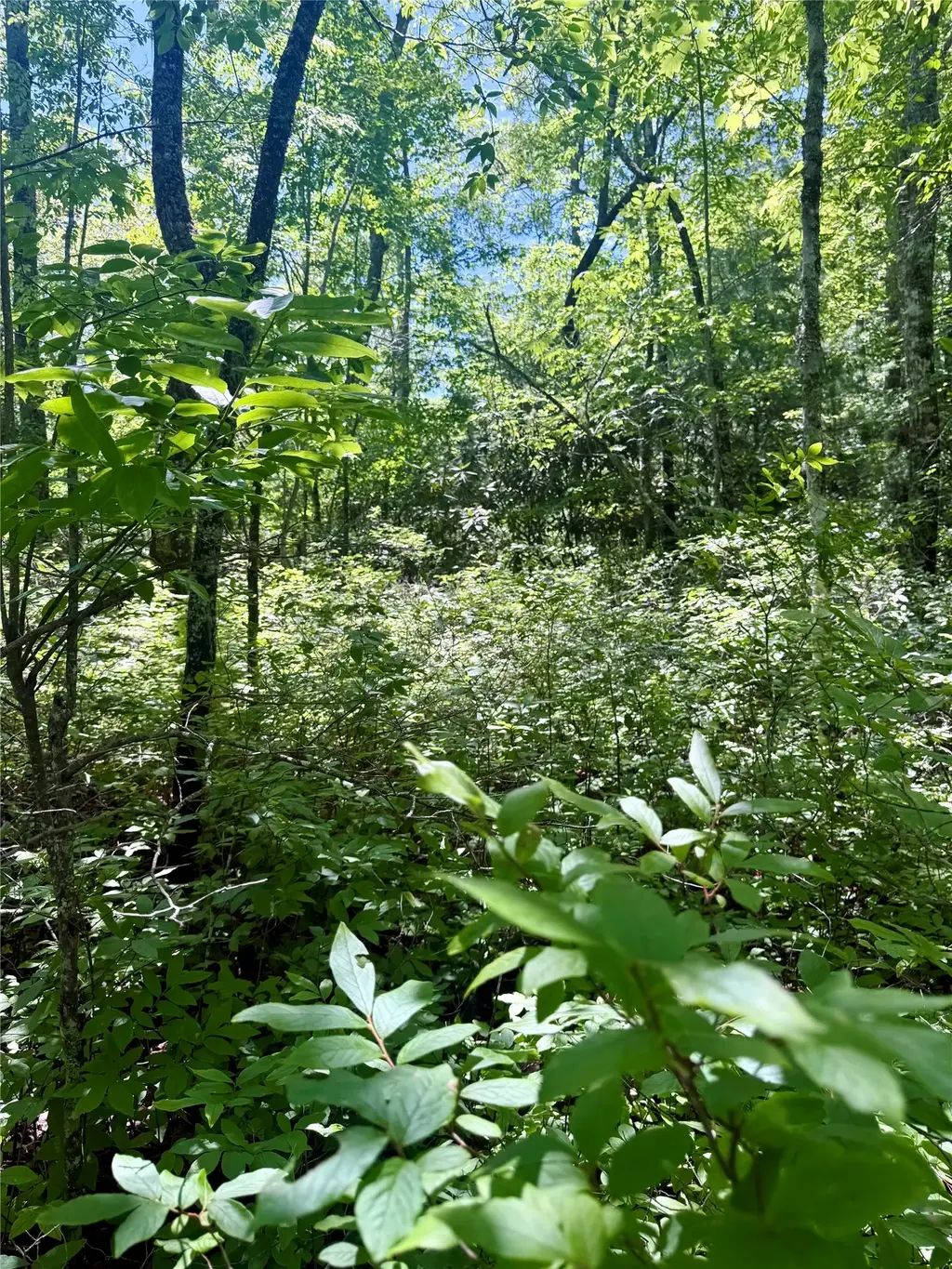 Tbd Indian Lake Road, Lake Toxaway