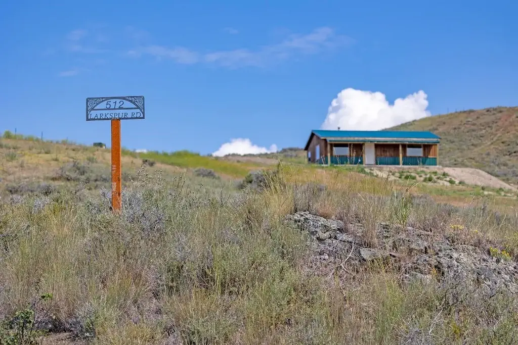 17 Larkspur, Deer Lodge