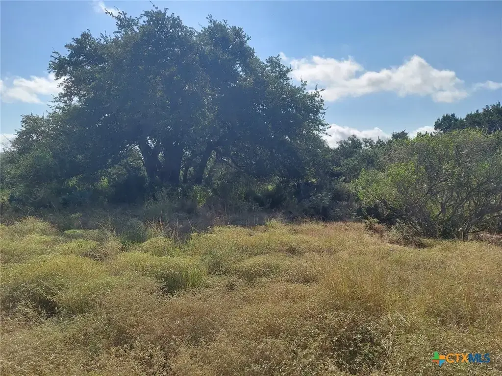 122 Passade, New Braunfels
