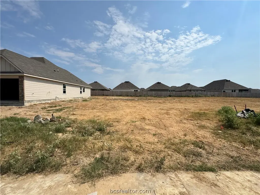 2506 Maskavich Court, Bryan