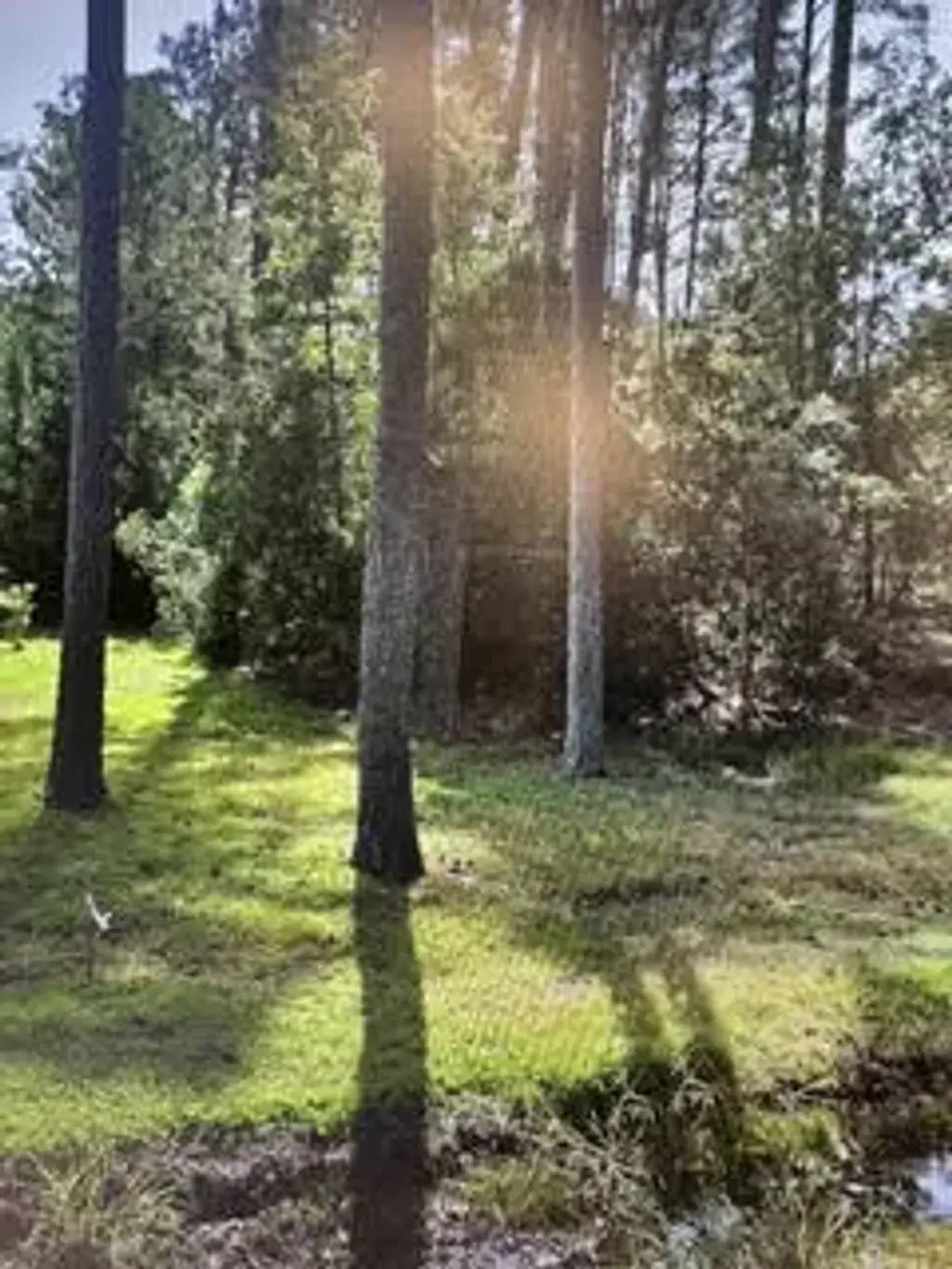 .880ac Lillys Neck Road, Moon