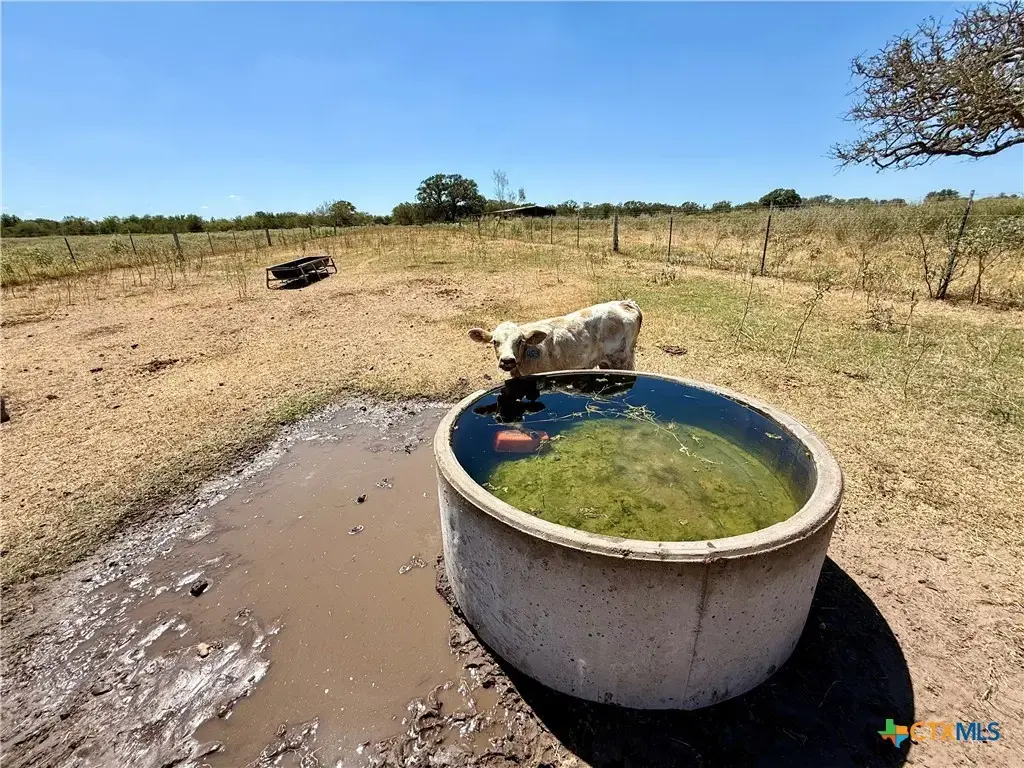3148 Fm 795, Gonzales