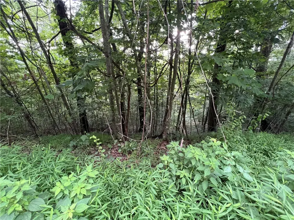 Tbd River Stone Drive, Laurel Springs