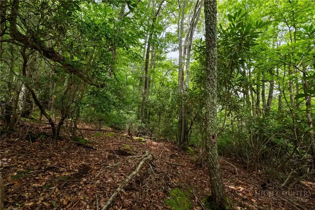 Lot 2 Heavenly Mountain Drive, Boone