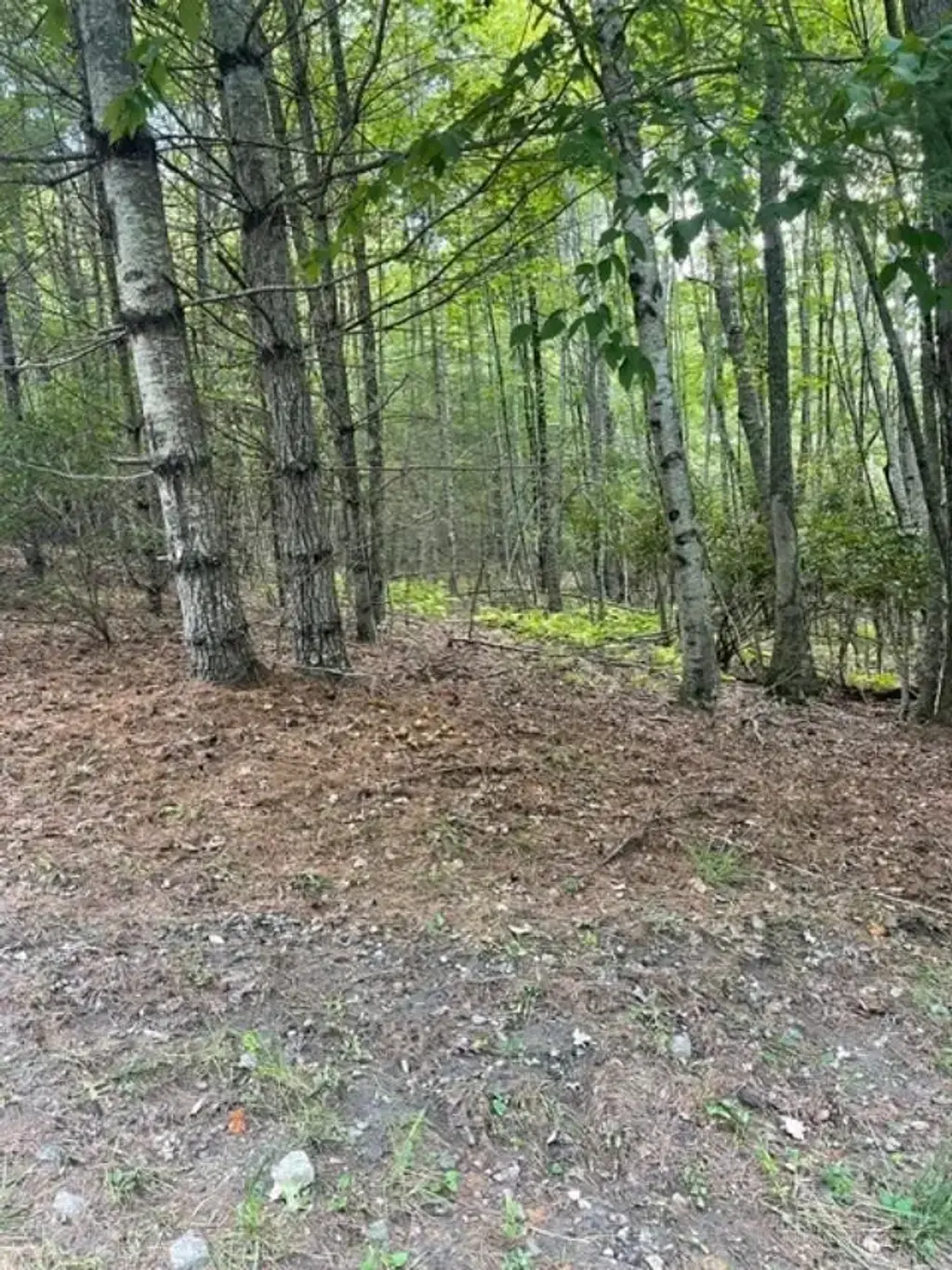 Tbd Lot 23 Country Ridge Road, Jefferson