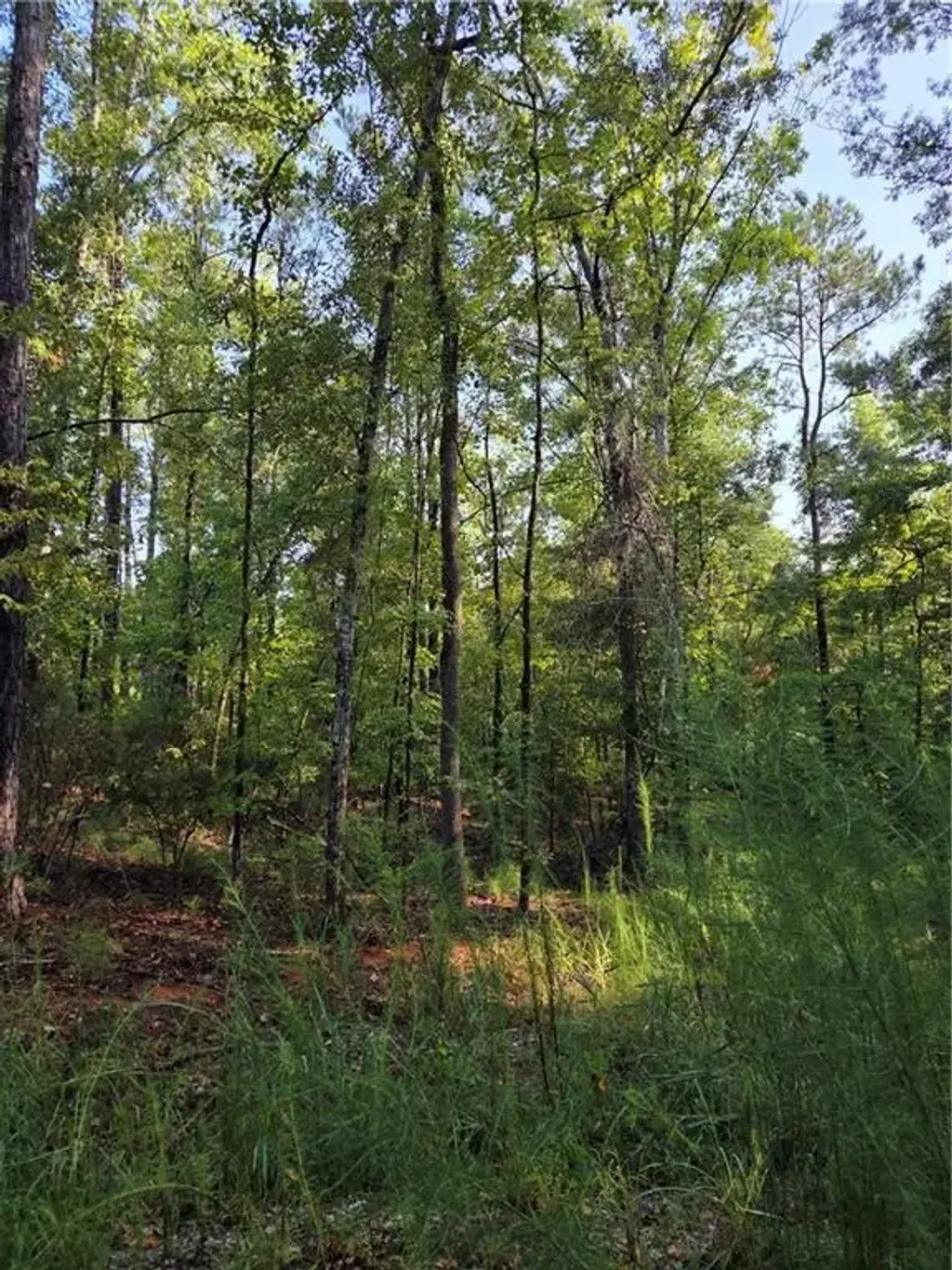3982 Essex Heights Court, Fortson
