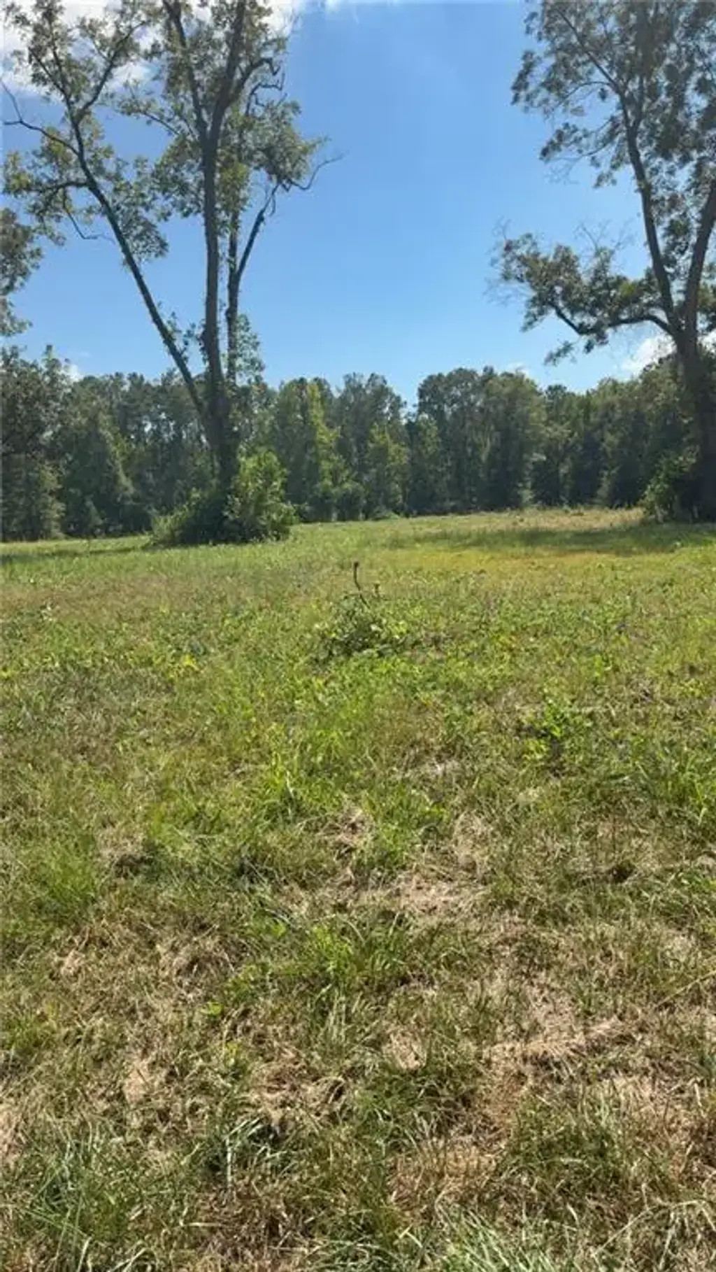 Cherry Drive, Lanett