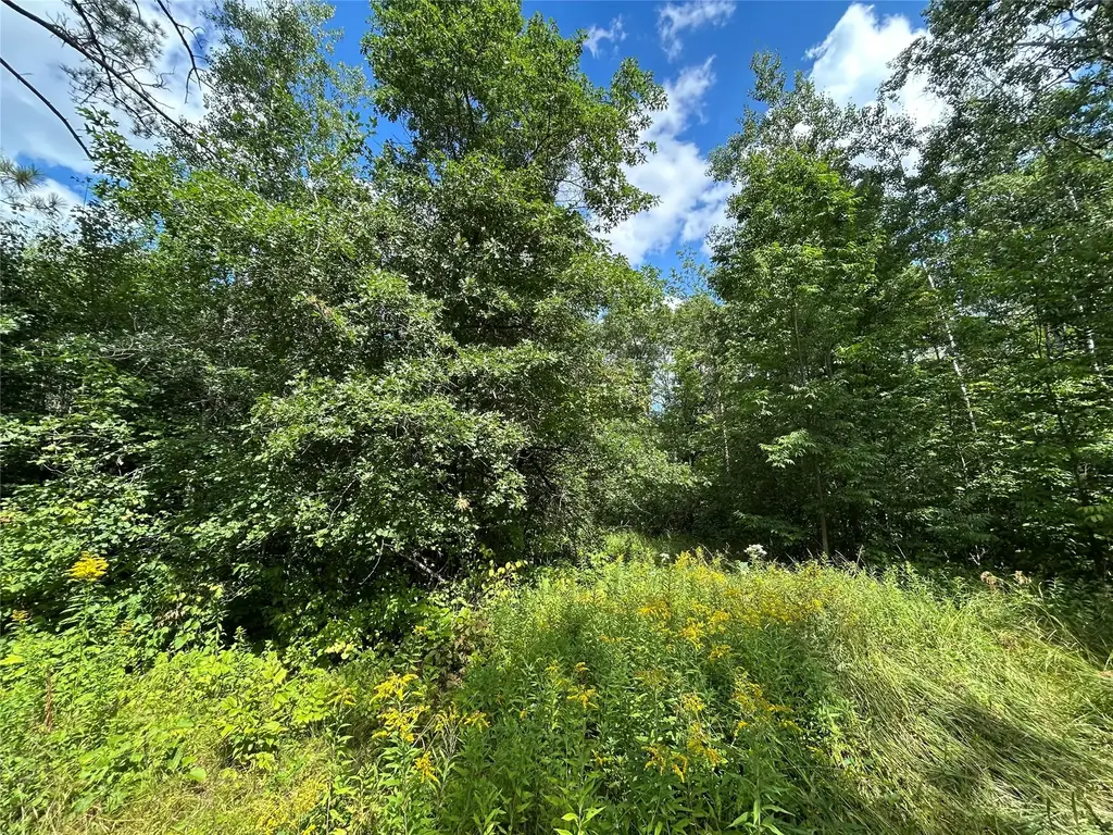 On Priest Road, Washburn