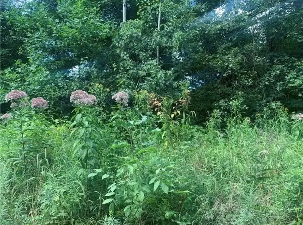 Lot 2b & 4 Vickerman Road , E Lackawannock