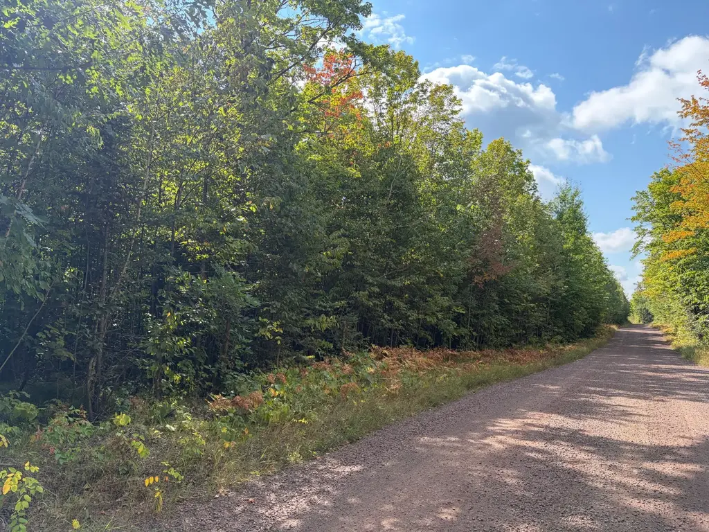 On Freburgs Rd, Saxon