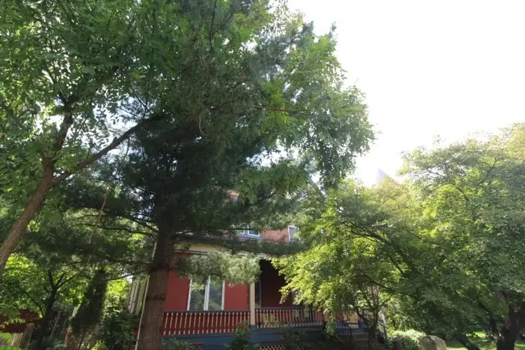 5546 Hays Street , East Liberty