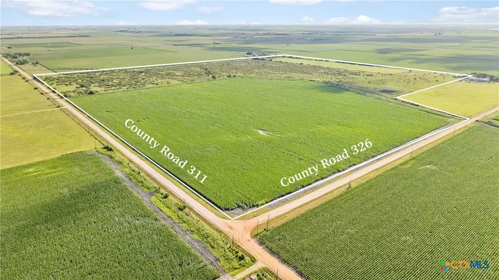 Cr 311, Louise