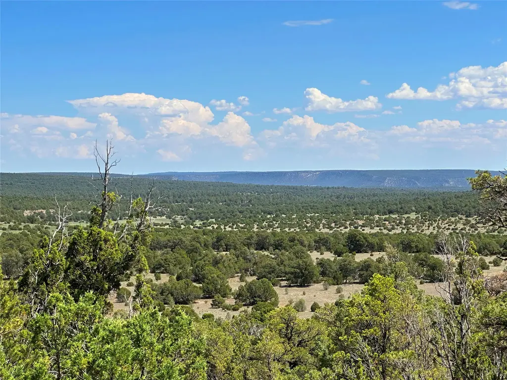 Lot 7 Tierra De Dios, Rowe