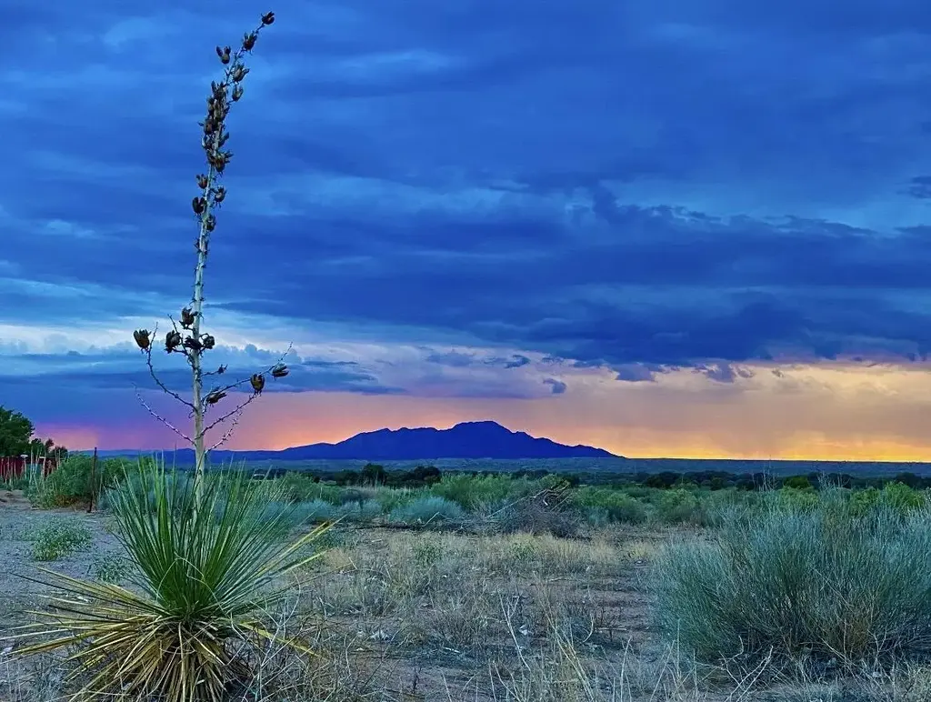 Ranchos De Veguita 14 Lot 4b, Veguita