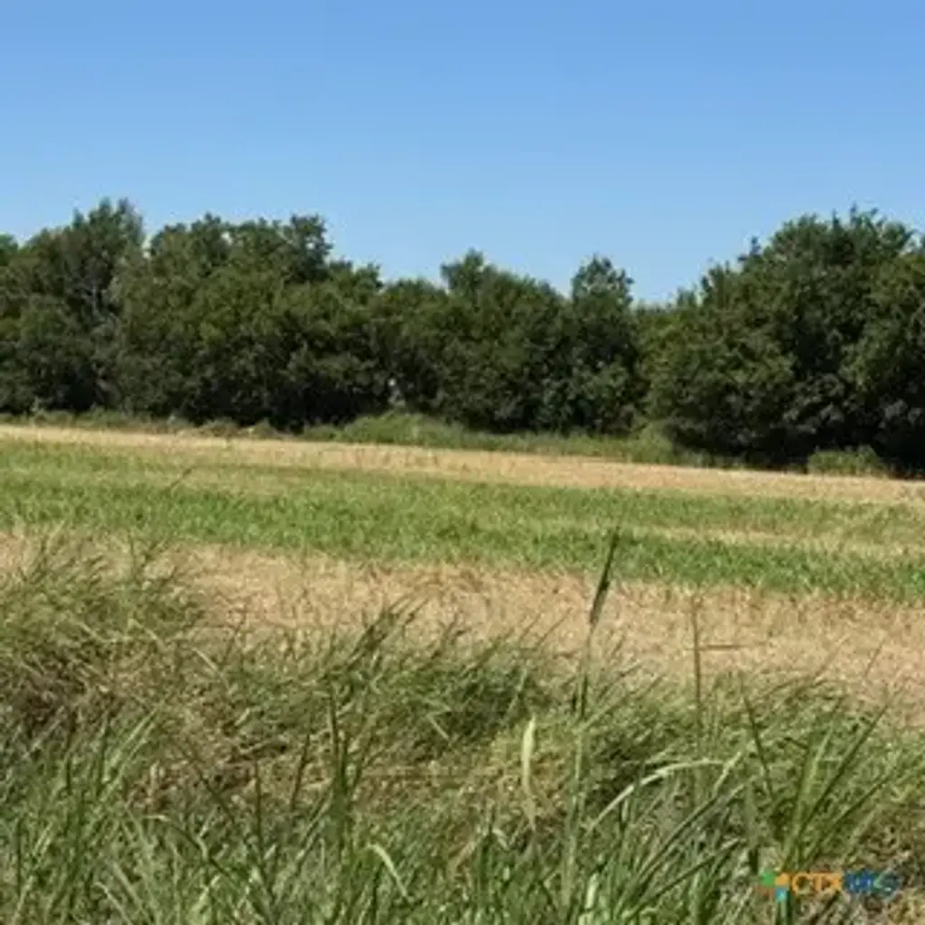 Tbd Tx-95, Holland
