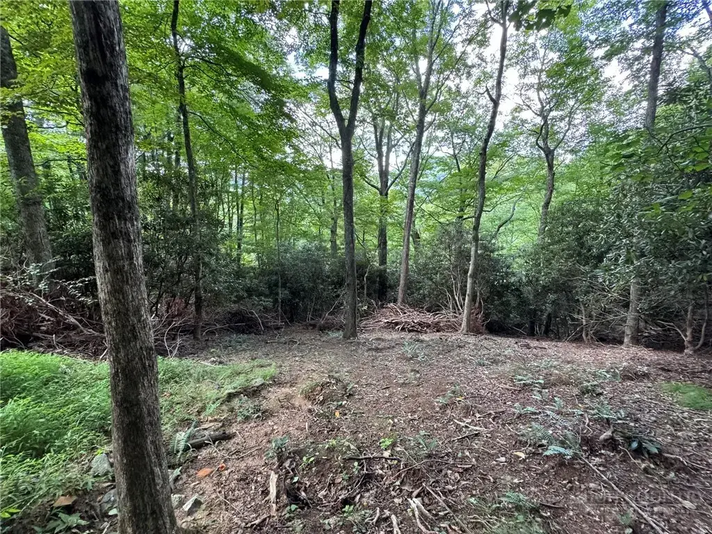 Lot 8 Bear Cub Trail, Boone
