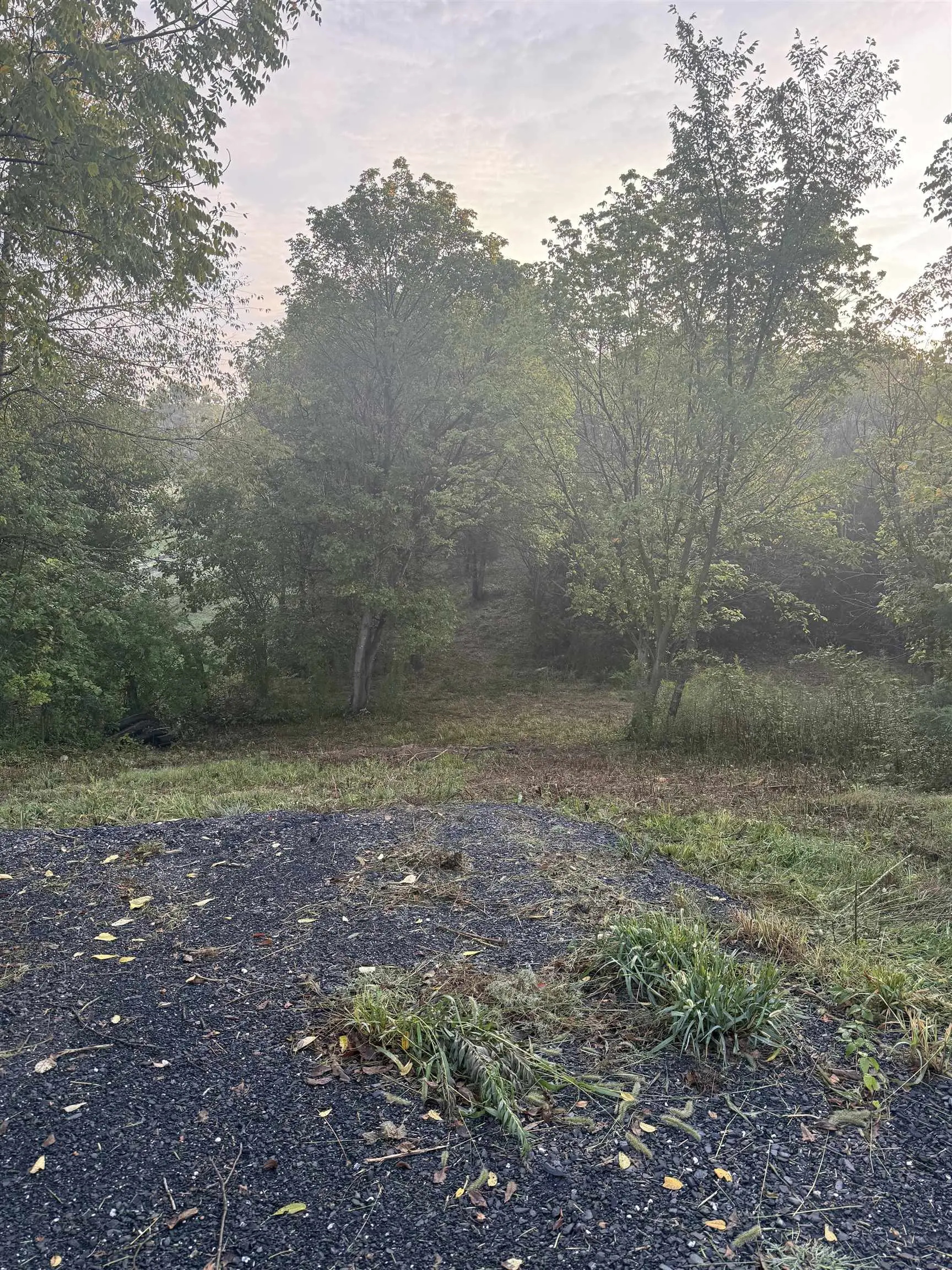 Tbd Knightly Mill Rd, Mount Sidney