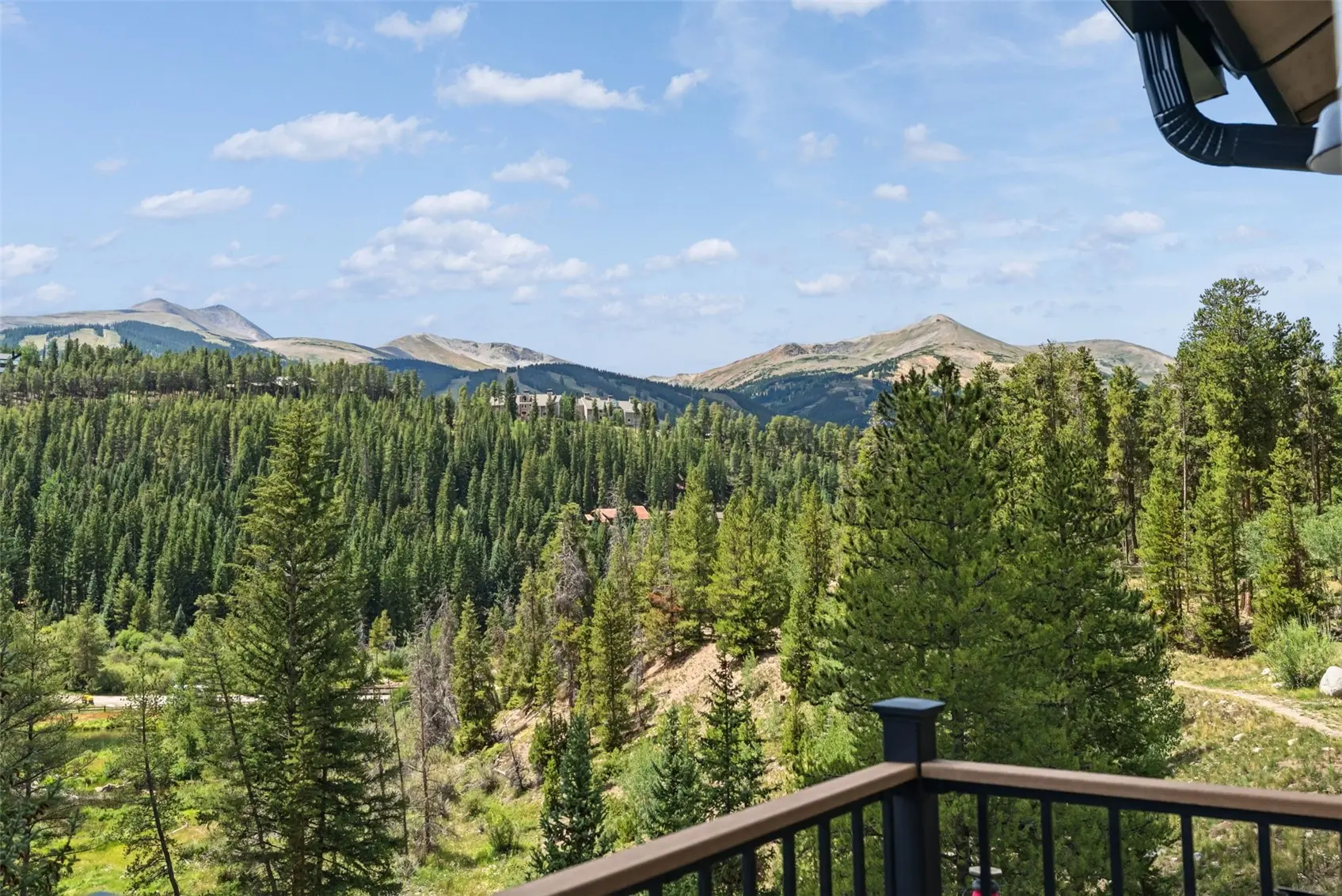 65 River Park Drive 65d, Breckenridge