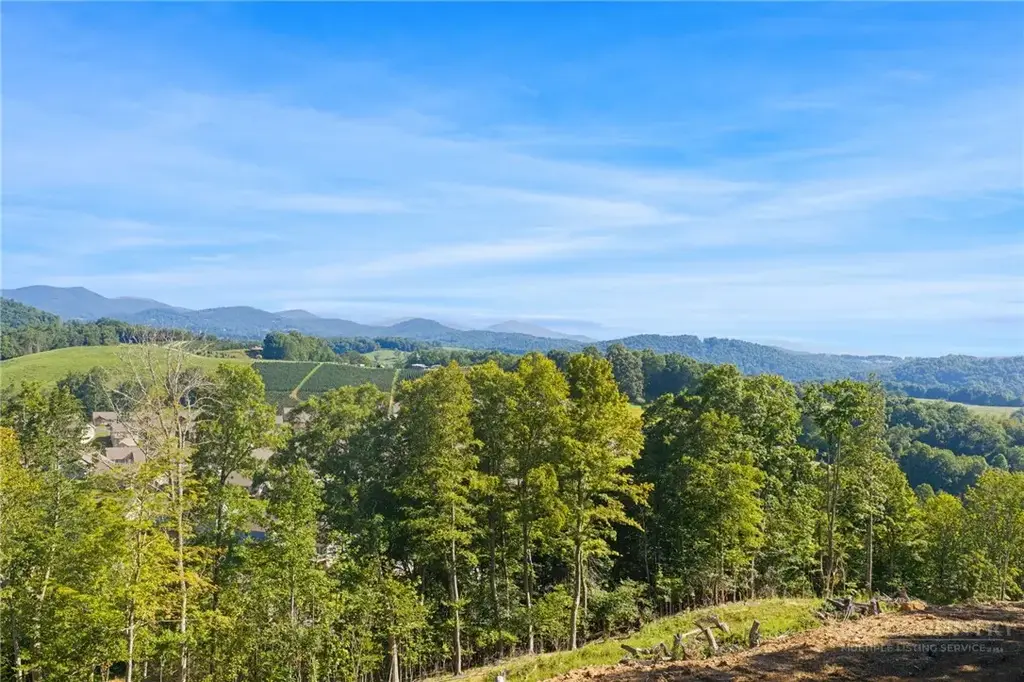 24 Acres Sarah Court Lane, Boone