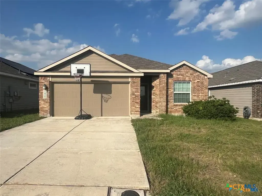 2425 Arctic Warbler, New Braunfels
