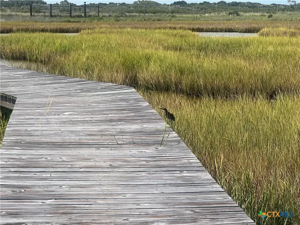 Tbd Saltwater Haven, Other