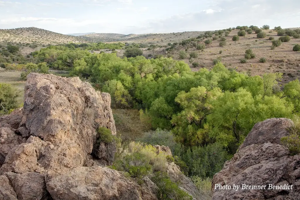 Pitchfork Ranch, Silver City