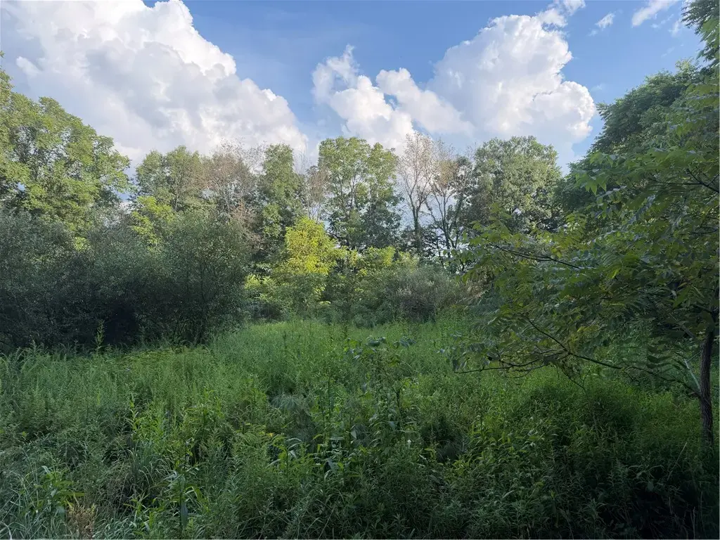 621 Crooked Creek Dam Road , Manor
