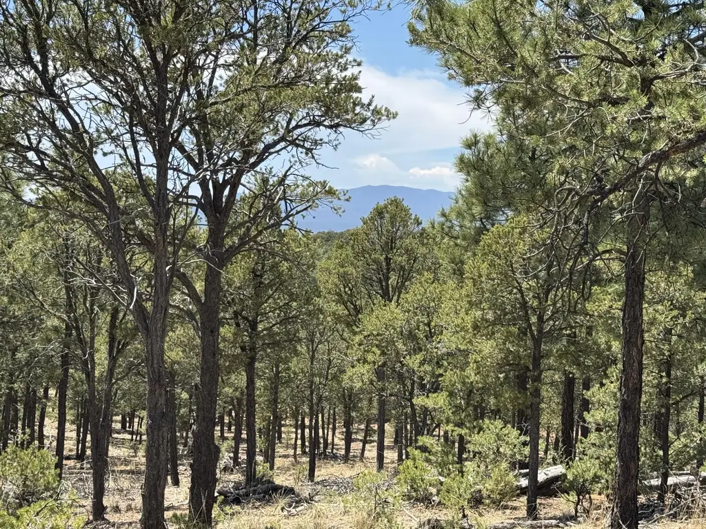 Lot 20 Dancing Hawk Drive, Pecos