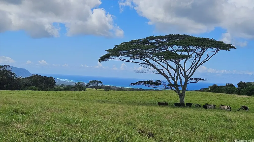 (unit #13) Plantation Road, Haleiwa
