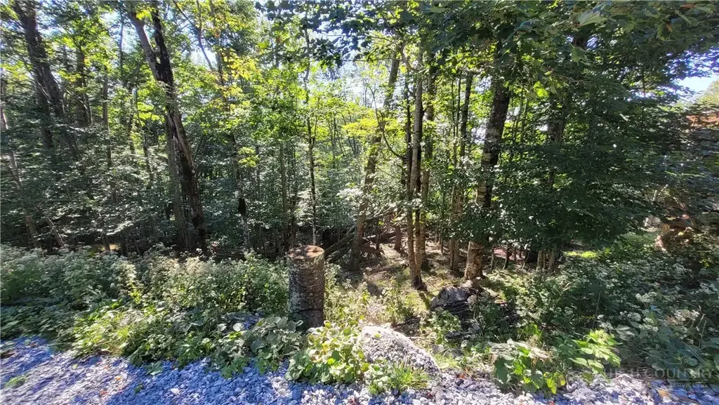 112 Upper Snowbird Trail, Beech Mountain