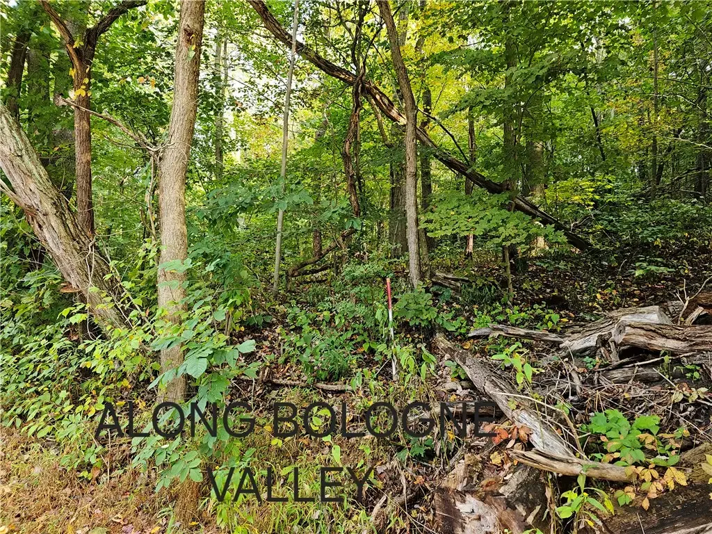 Bologne Valley Road, North Sewickley