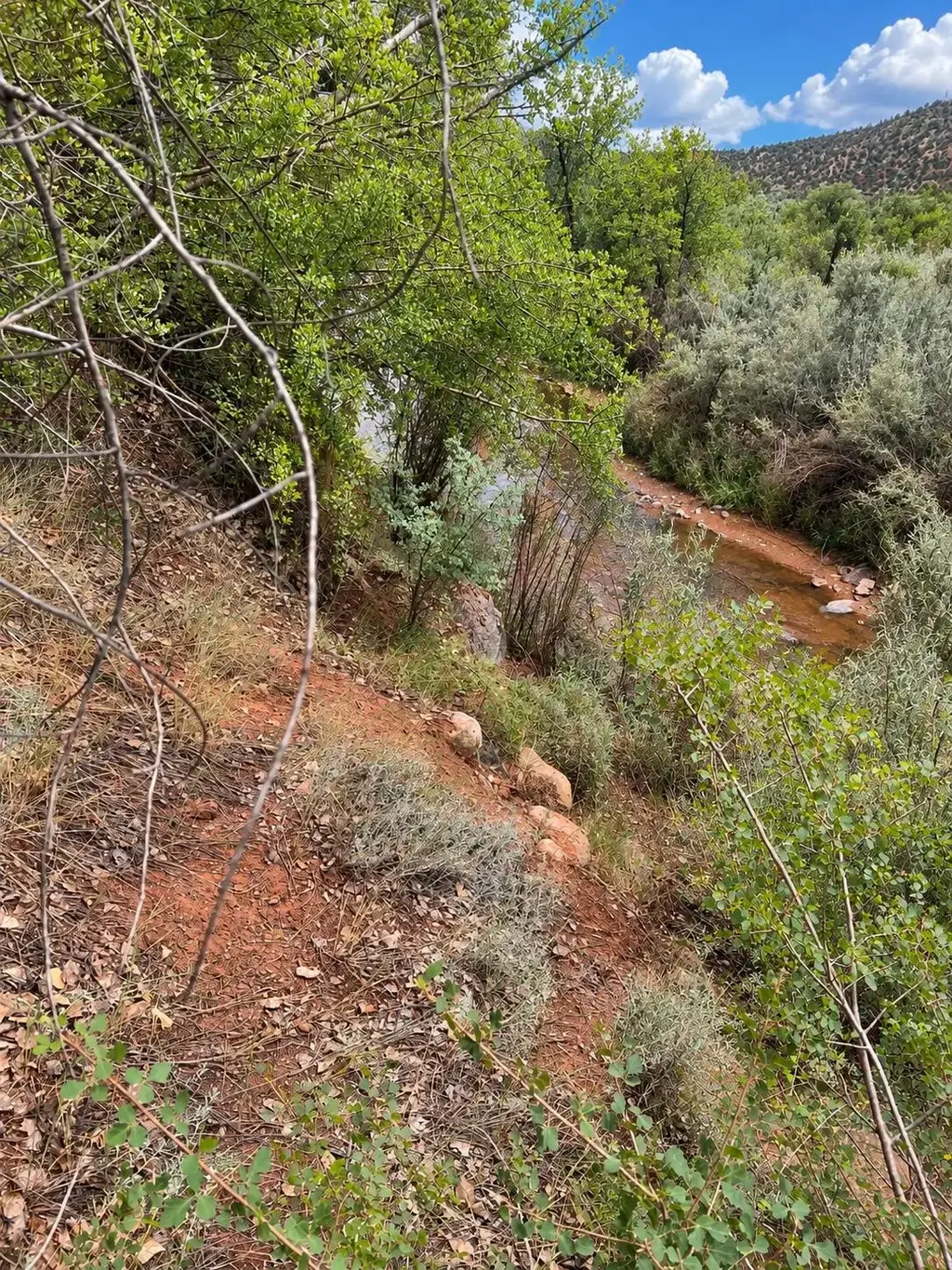 Tbd Lot B-1, Jemez Springs