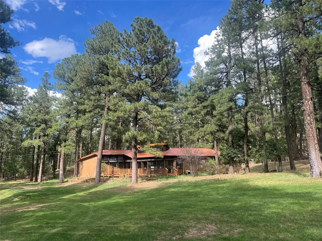 4 Forest, Rociada