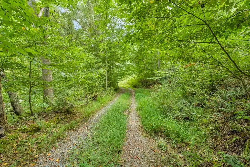 1768 Beaver Dam Road, Vilas